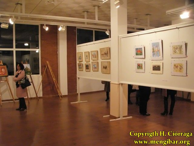 Exposicin del Taller Municipal de Pintura-17-02-2010_40