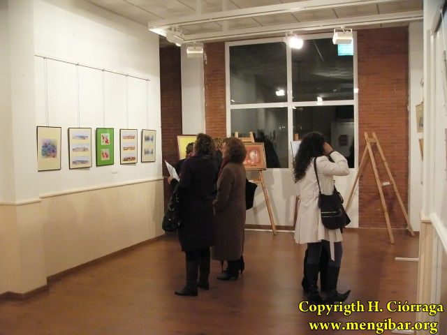 Exposicin del Taller Municipal de Pintura-17-02-2010_58