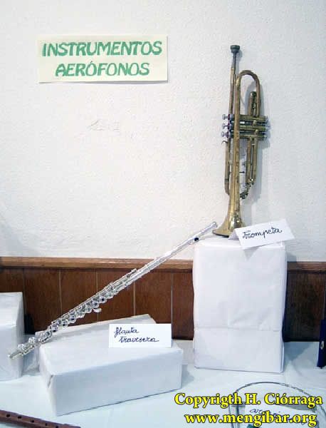 Exposicin de instrumentos musicales. Colegio Jos Plata 15
