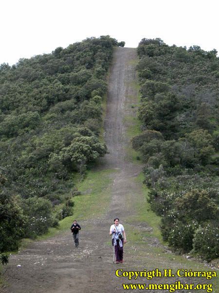El  Cerro del Cabezo. Por Alfonso Infantes Delgado 17