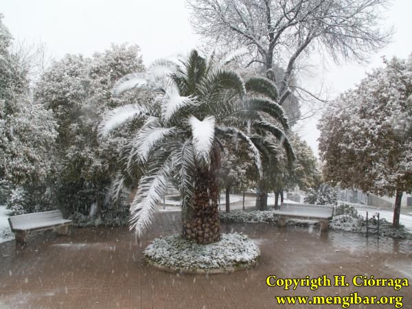 Gran nevada en Mengbar 89