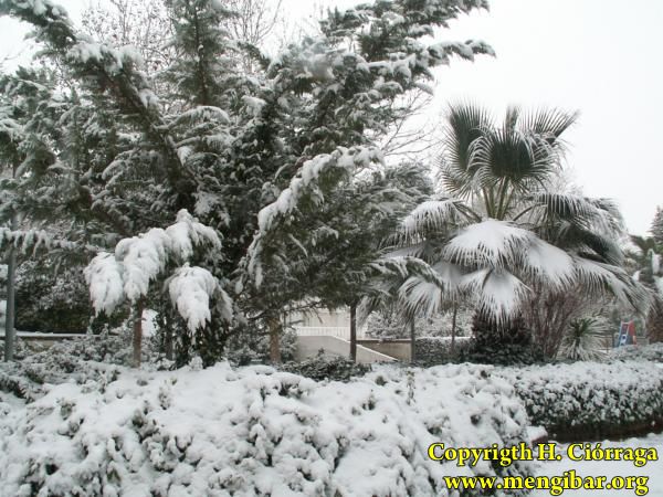 Gran nevada en Mengbar 99