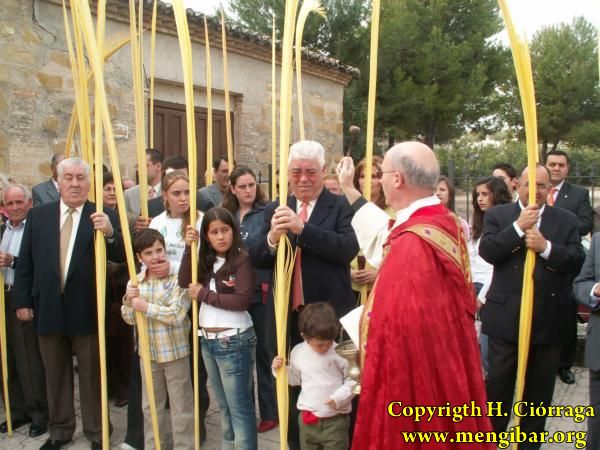 Semana santa 2006. Domingo de Ramos 12
