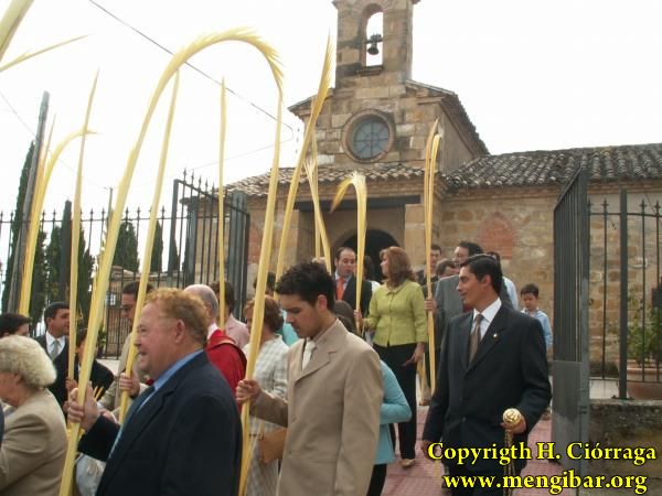 Semana santa 2006. Domingo de Ramos 24