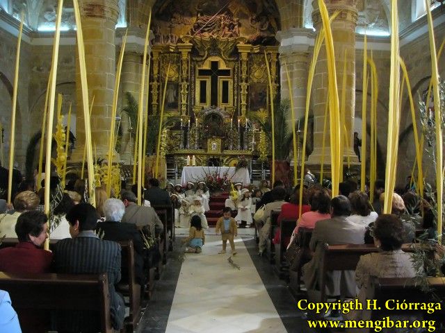 Semana Santa 2008. Domingo de Ramos 1
