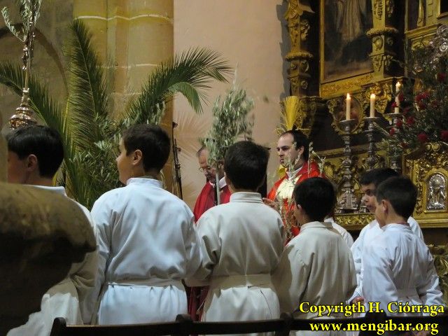 Semana Santa 2008. Domingo de Ramos 8