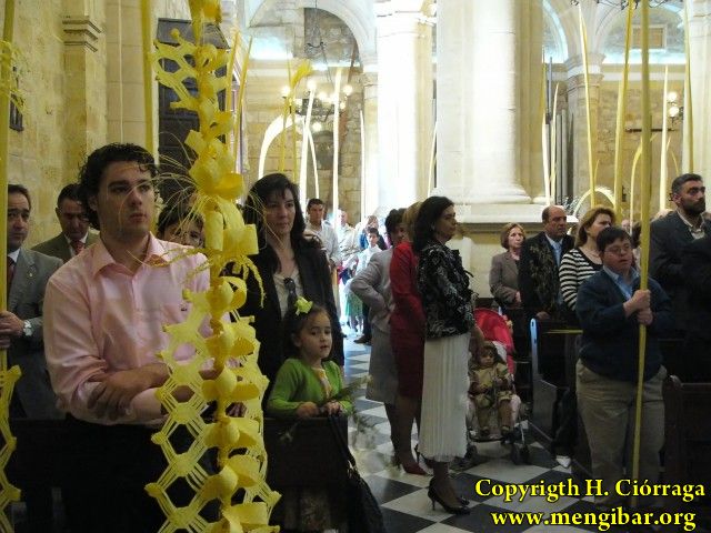 Semana Santa 2008. Domingo de Ramos 9