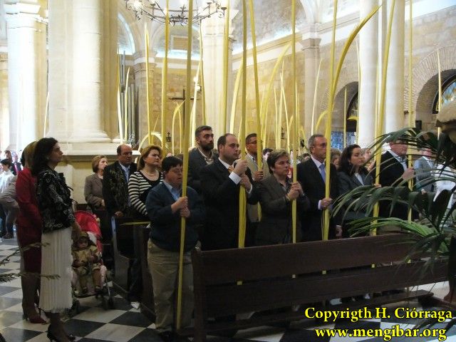 Semana Santa 2008. Domingo de Ramos 10