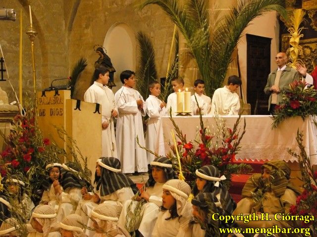 Semana Santa 2008. Domingo de Ramos 11