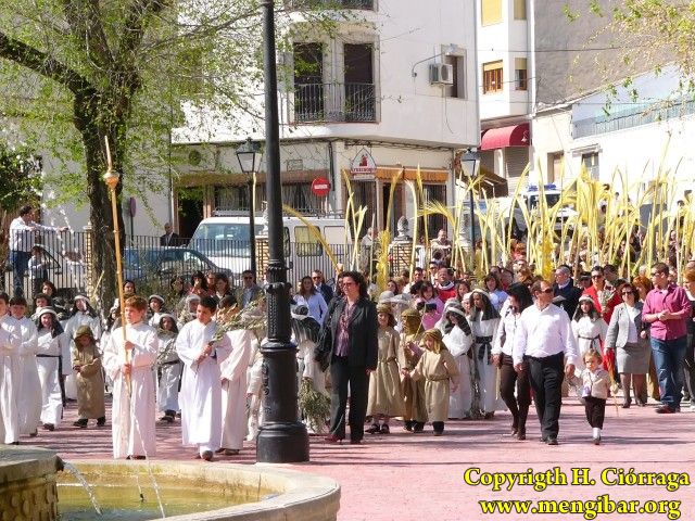 Semana Santa 2008. Domingo de Ramos 58