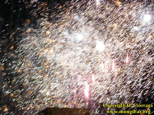 Fiestas de La Malena 2008. Da 22 de julio. Coronacin (2) 88