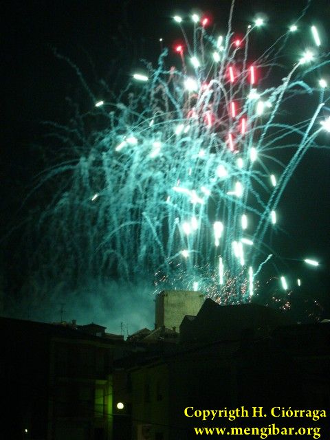 Fiestas de La Malena 2008. Da 22 de julio. Coronacin (2) 101