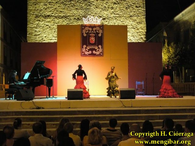 Fiestas de La Malena 2008. Da 23 de julio.Actuacion de Mariani Galdn 4