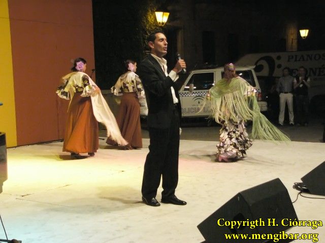 Fiestas de La Malena 2008. Da 23 de julio.Actuacion de Mariani Galdn 49
