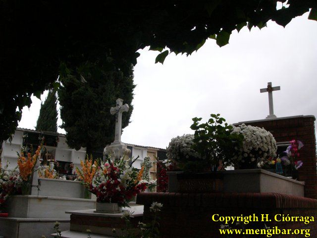 Los Santos 2008-Cementerio 5