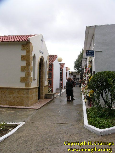 Los Santos 2008-Cementerio 7