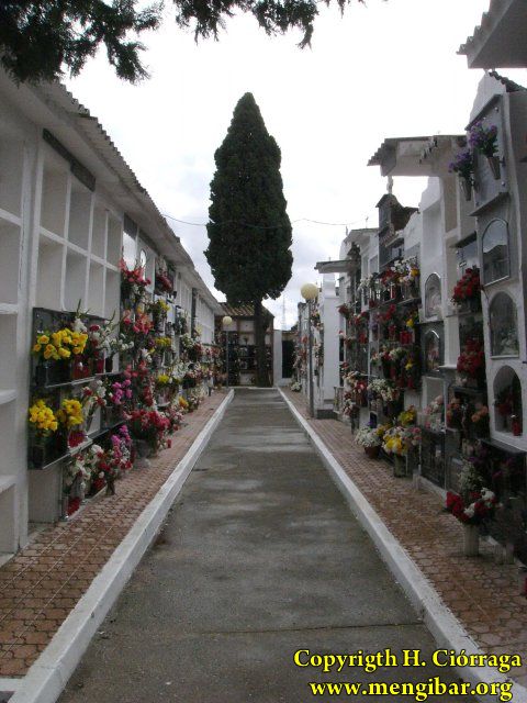 Los Santos 2008-Cementerio 16