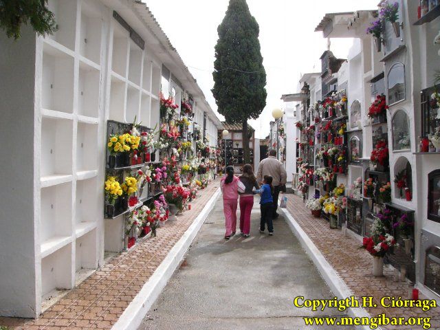 Los Santos 2008-Cementerio 17