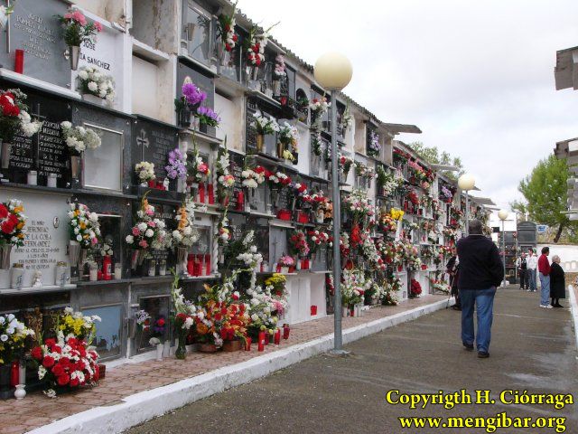 Los Santos 2008-Cementerio 19