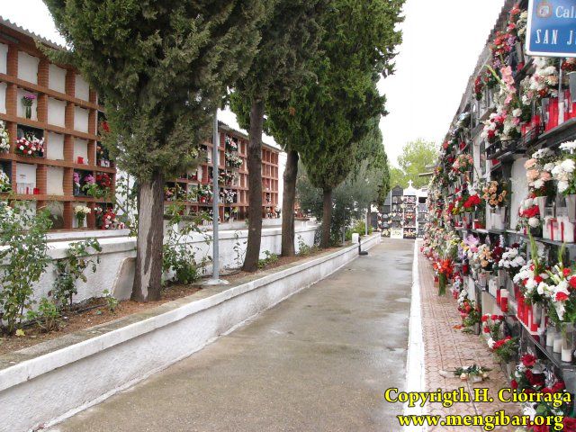 Los Santos 2008-Cementerio 21