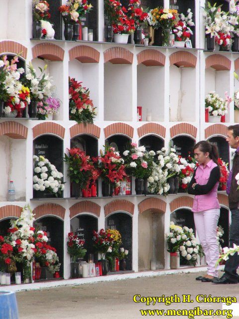 Los Santos 2008-Cementerio 29