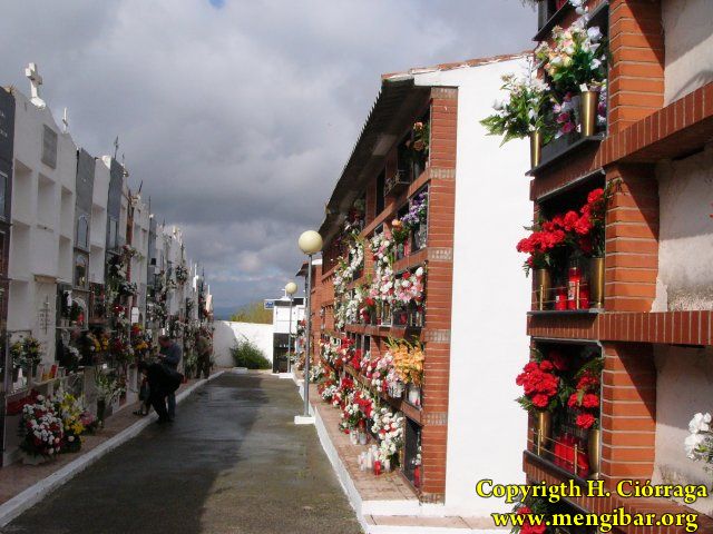 Los Santos 2008-Cementerio 34