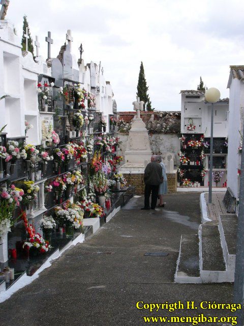 Los Santos 2008-Cementerio 36