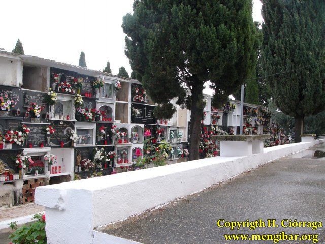 Los Santos 2008-Cementerio 39