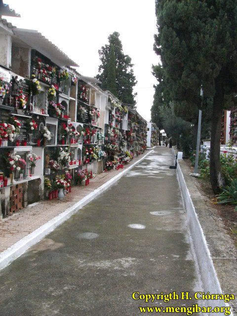 Los Santos 2008-Cementerio 41