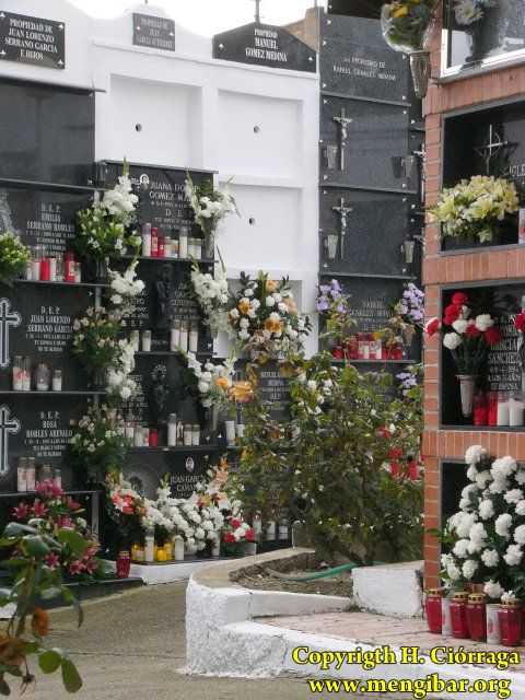 Los Santos 2008-Cementerio 50