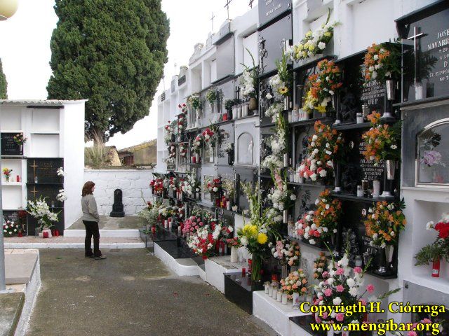 Los Santos 2008-Cementerio 54