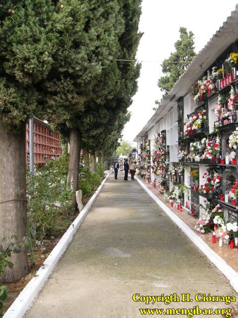 Los Santos 2008-Cementerio 55