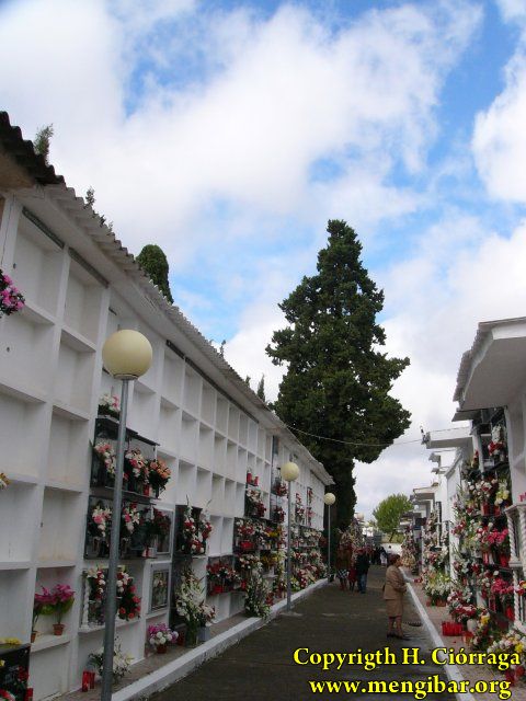 Los Santos 2008-Cementerio 58