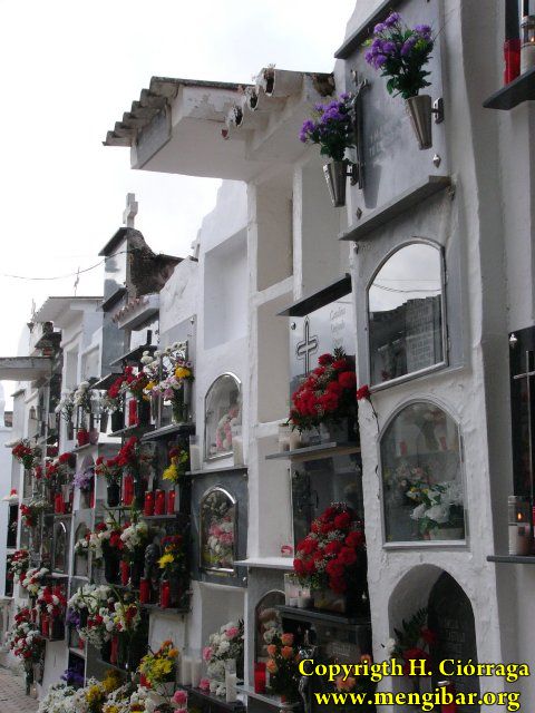 Los Santos 2008-Cementerio 62