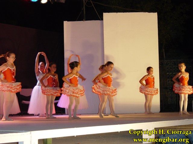 Muestra Provincial de Bailes 21