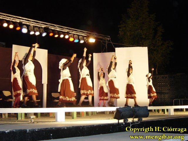 Muestra Provincial de Bailes 27