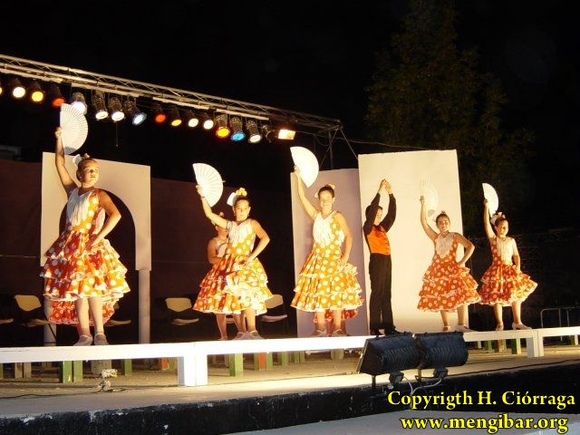 Muestra Provincial de Bailes 35