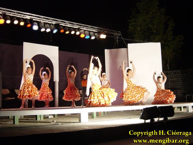 Muestra Provincial de Bailes 48
