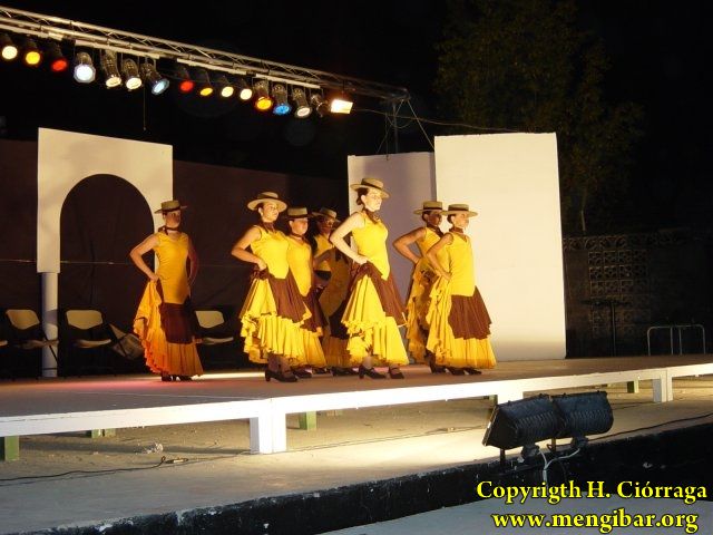 Muestra Provincial de Bailes 49