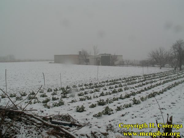 Enero 2007 Gran nevada. Fotos H. Cirraga 2