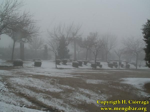 Enero 2007 Gran nevada. Fotos H. Cirraga 13