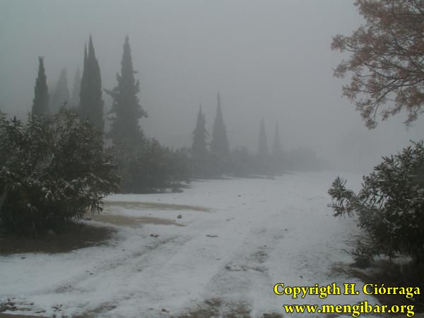 Enero 2007 Gran nevada. Fotos H. Cirraga 17
